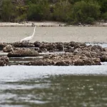 Agroturismo Sa Torre Blanca