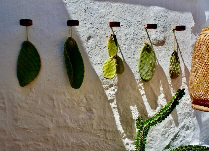 Homestay Casita Roja Ciutadella (Menorca)