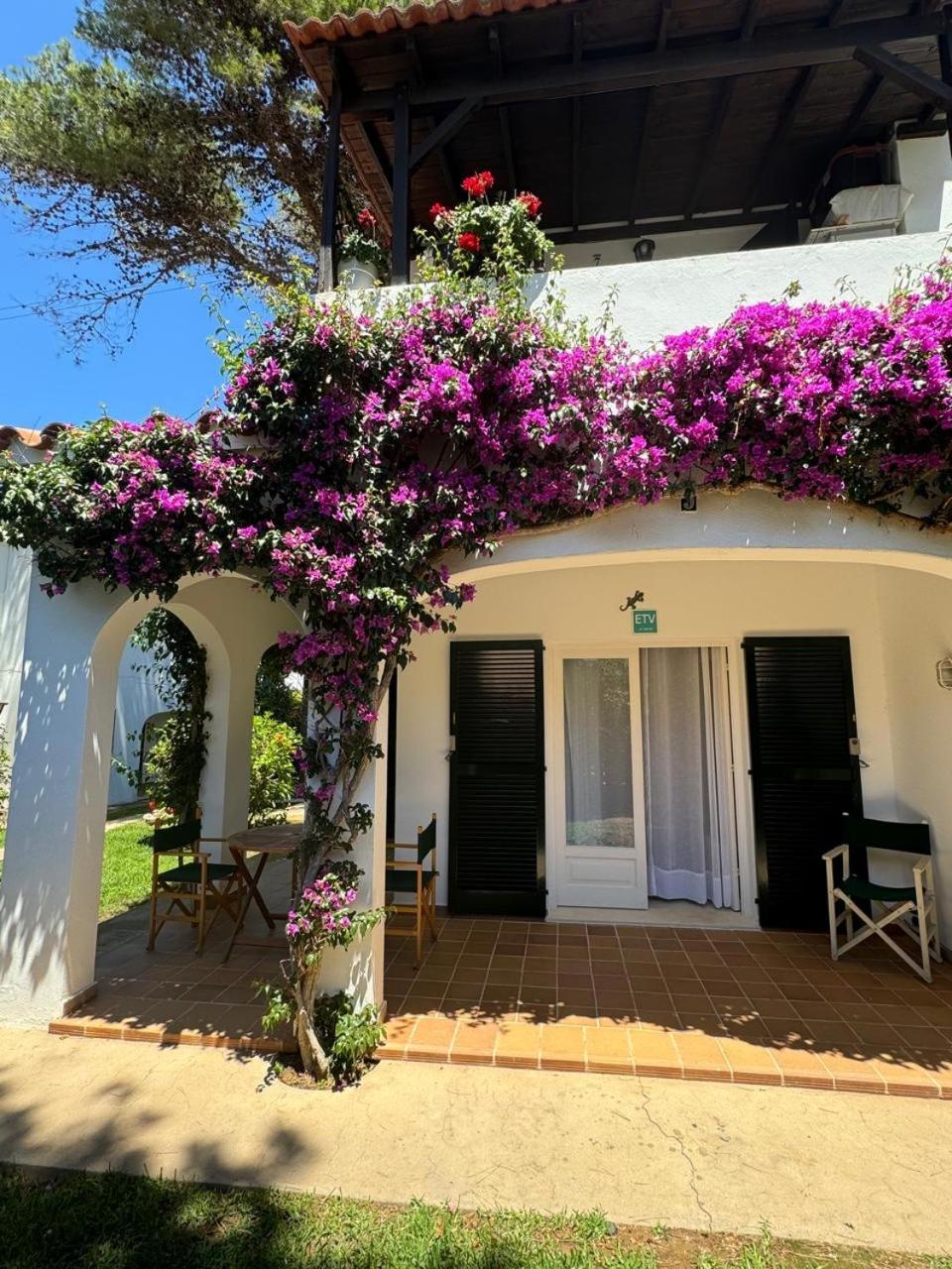 With Garden And Swimming And Apartament *