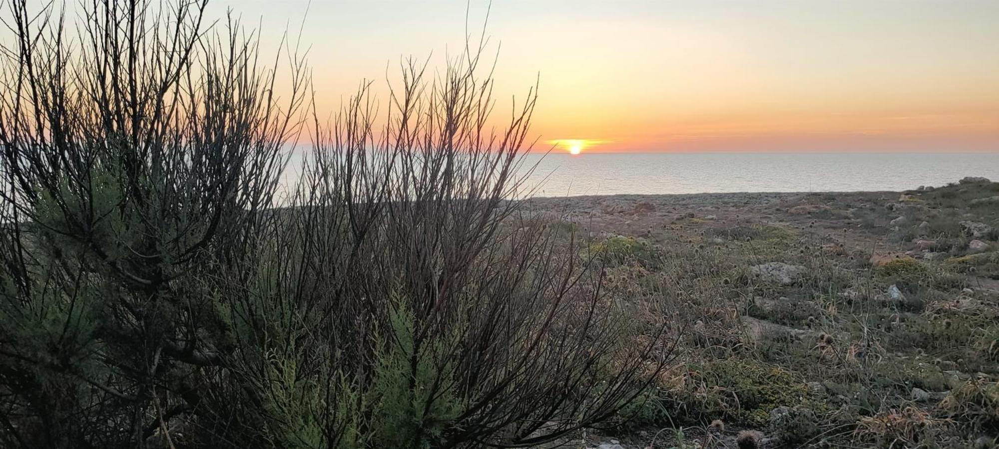 Apartament Enrique - Relajate A 3 Min De La Playa Con Jardin Y Padel *